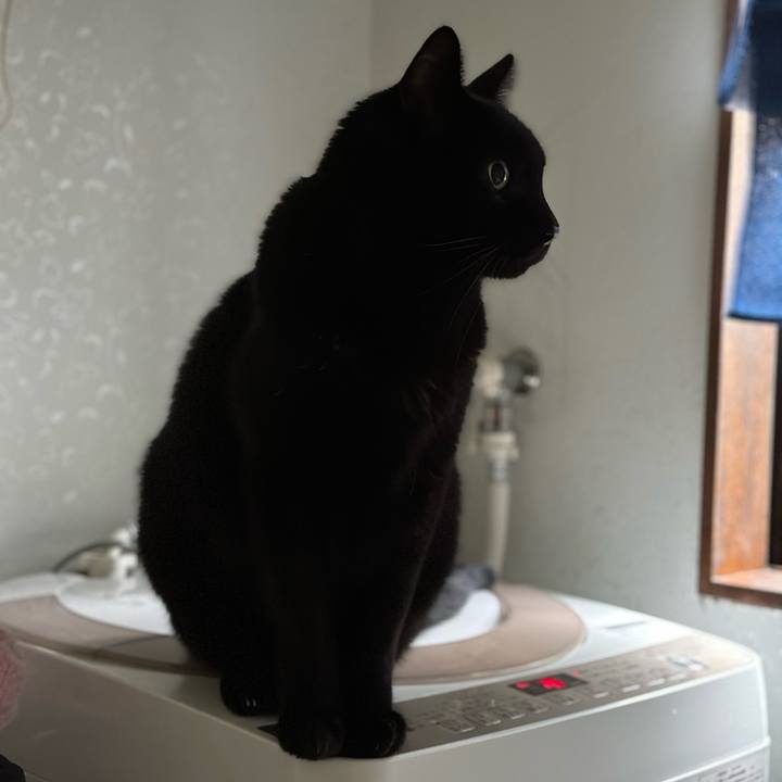 36c04d33 6574 400a 9592 835e5f66081b 1666577105887