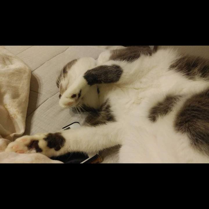 36c075ae 4c3c 4d08 bd51 37c4f5433730 1631618598983