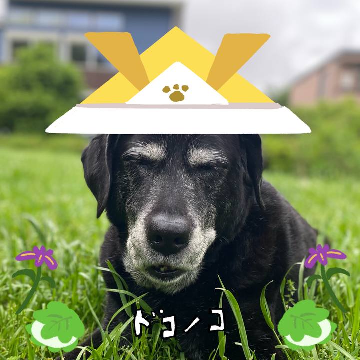 36c0823e 79c9 4224 99a5 278c2ae05f86 1715068892064