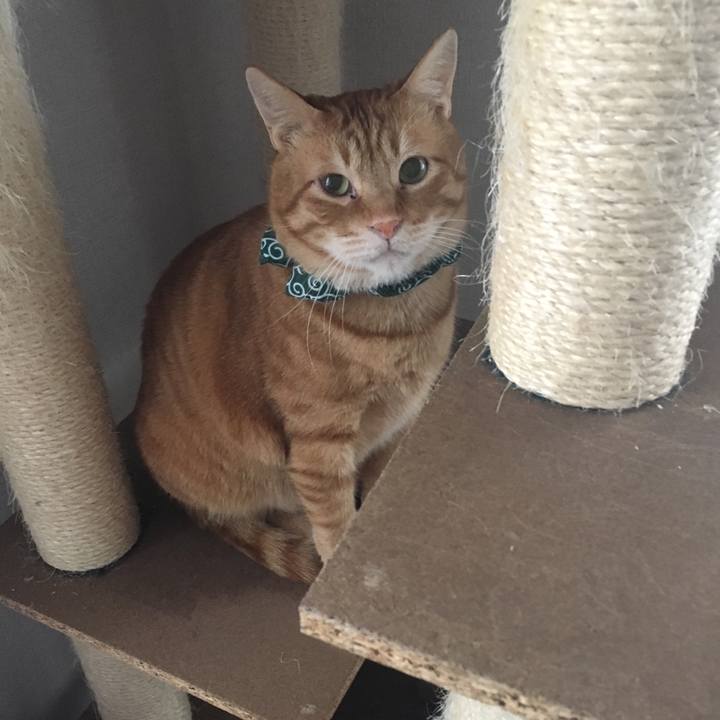 36c1057a 9954 422c ae3e b6d2fbc19f47 1551305024478