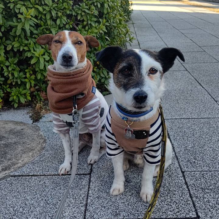 36c10e03 b8d4 4c54 8bd4 c51305cd5697 1710371687562