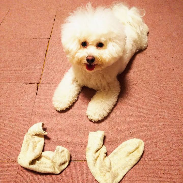 36c12e4d dd48 423a 8711 50472ddbb3ab 1565931422768