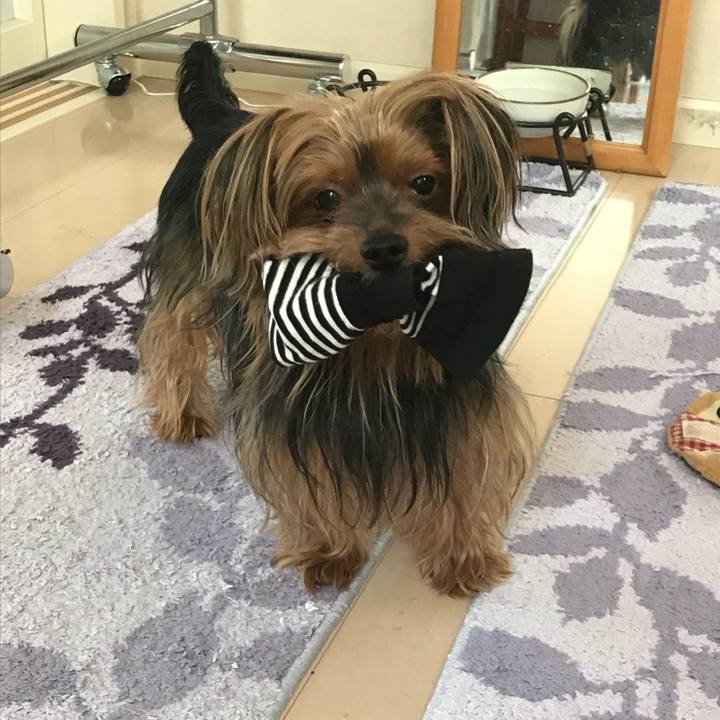 36c13393 dc88 48a0 8a58 60300df2e3d3 1532686233571