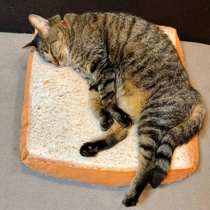 36c141cc bbeb 4272 a367 253a32f8cbcc 1633058899536