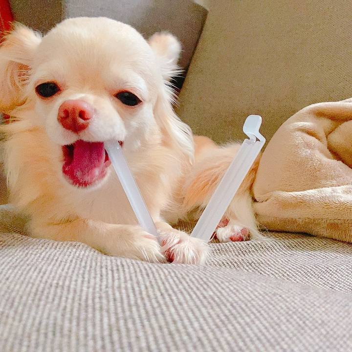 36c196bd 0fd9 418e 911e 7b39fb525d97 1626295301008