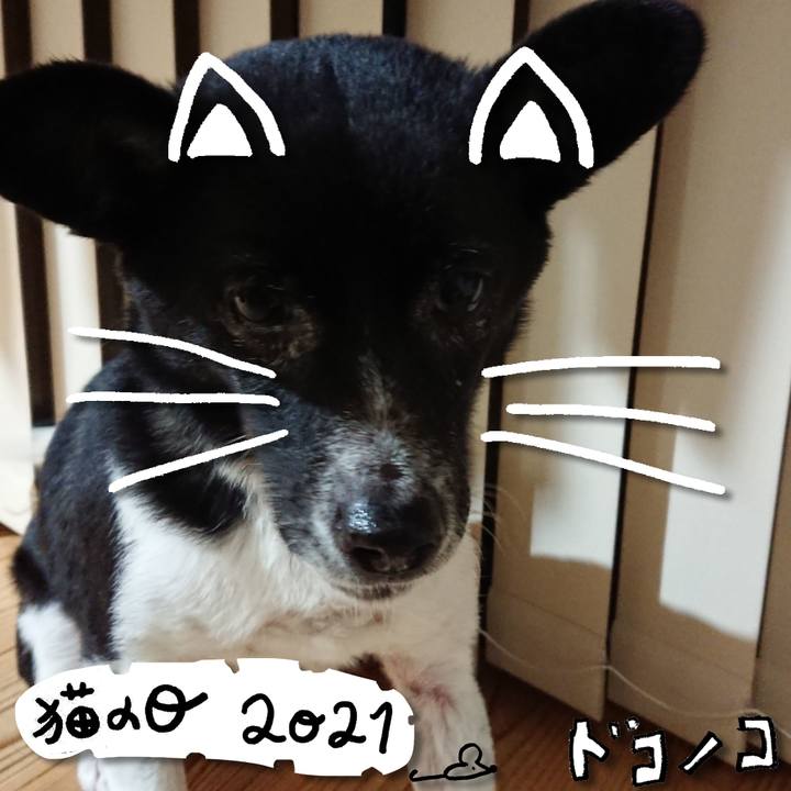 36c1ddf4 e5a6 410c bfab 5ed42fb80ef9 1613989353065