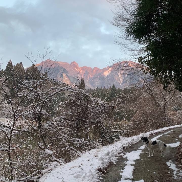 36c1f742 5f5f 4a8e b939 3fc62ca3d745 1610514232421