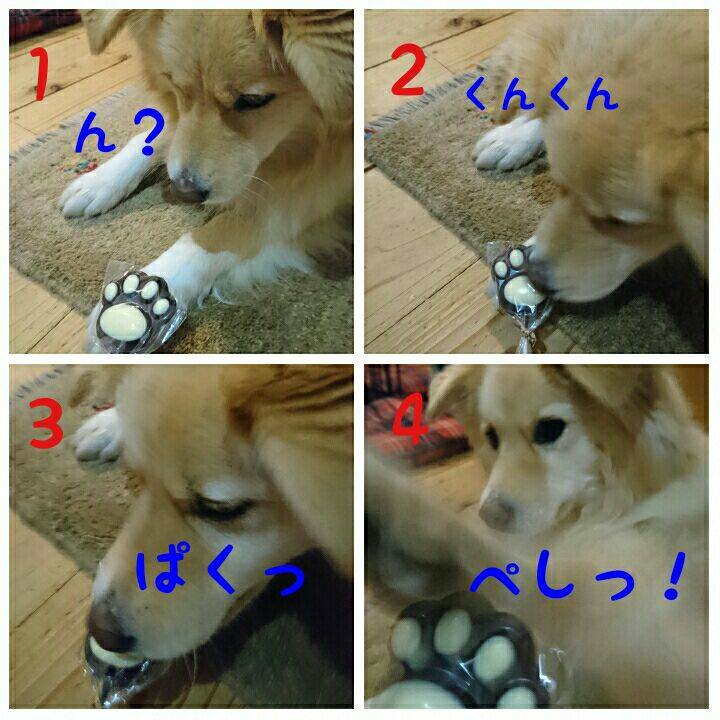 36c24df0 5530 424e 978e 233464006e45 1518611932027