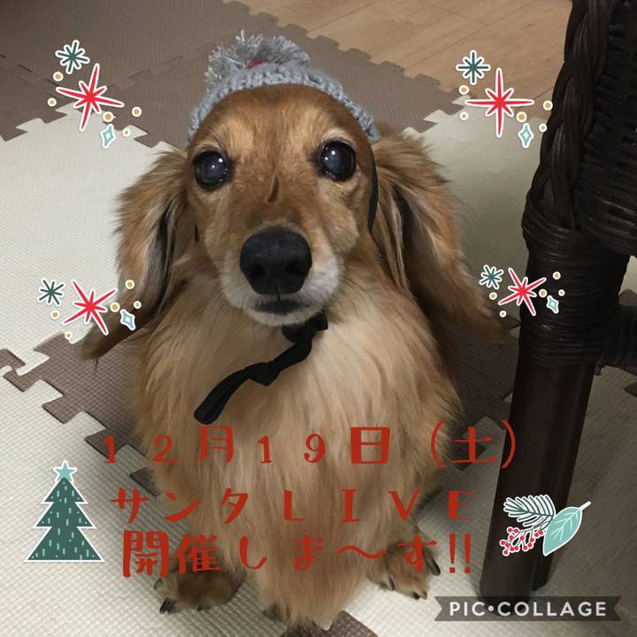 36c255d4 8fd7 45c1 ad78 34ac0a083549 1607693785339