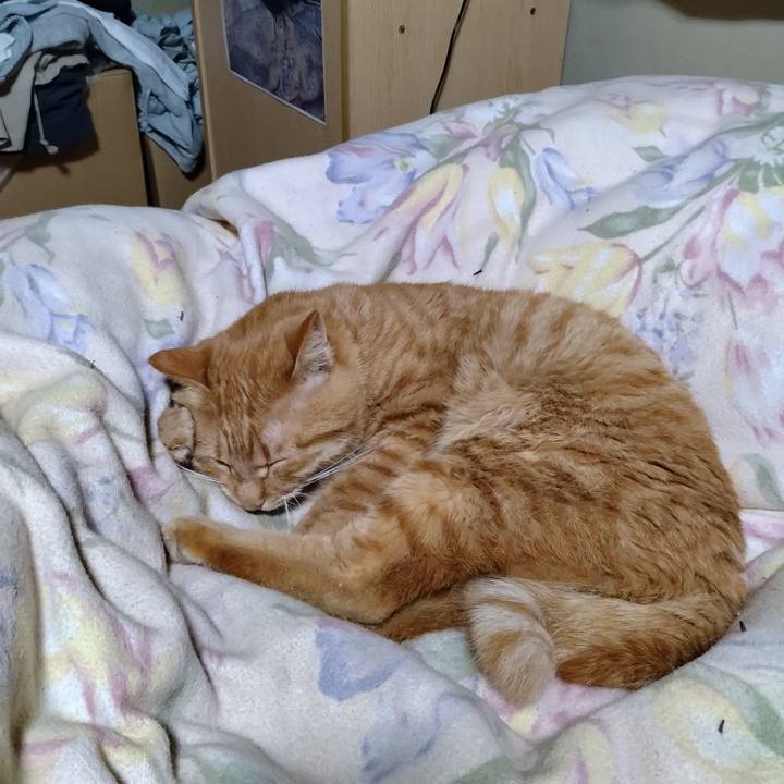 36c264e1 eb35 434b a30b 87bc2cd26961 1671195130154