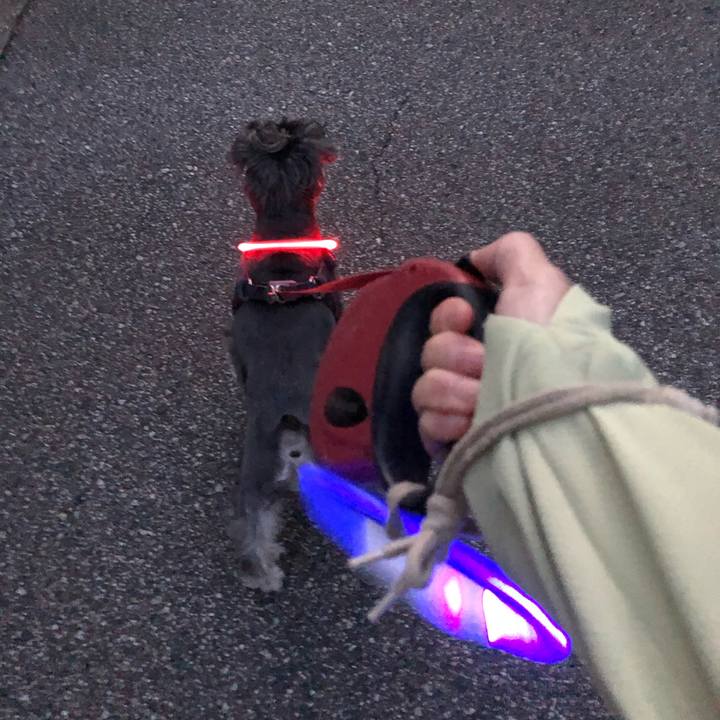 36c268a5 be8c 4dfe b16e 7b116c73b392 1632567953376