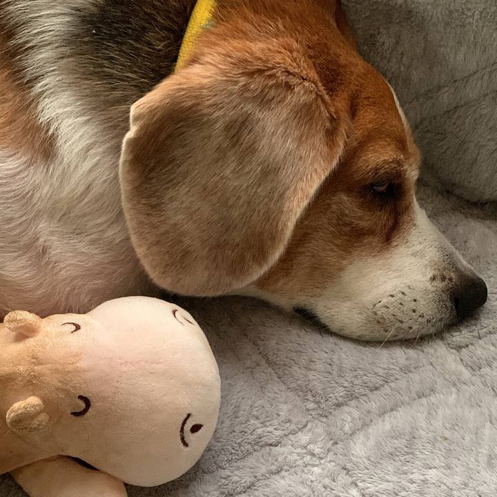 36c27f73 fc89 421e a999 b82201829ca6 1764393812786