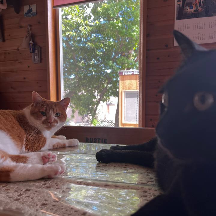 36c2a172 2cf2 4fce bc66 8d980c32ecf3 1723006654795