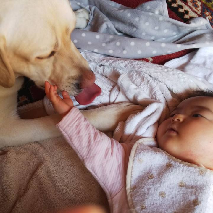 36c2cb7f 5d9d 493a bf38 43c367573949 1552445801560