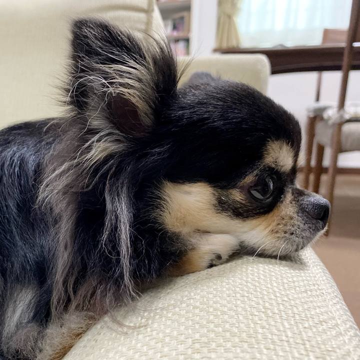 36c37b55 3c82 4694 acb8 d9b62e87dc03 1657253132450