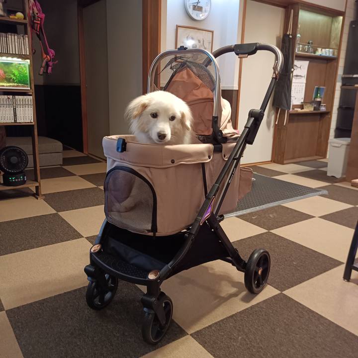 36c38f4a 0844 4cbf 849b abc7df4c644b 1757499350067