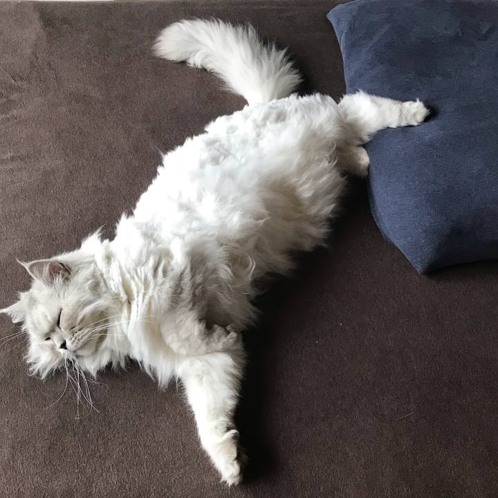 36c3a2f0 fcb1 46e3 9844 90d83345e837 1624143721081