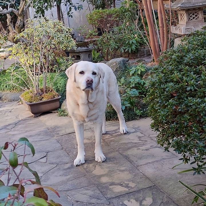 36c3af44 3012 4b12 b935 63efb25f586b 1738209623558