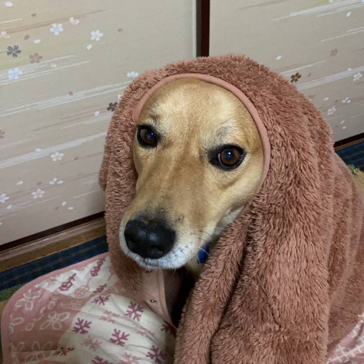 36c3df6c e3d5 41b7 9a5e bae442b0e4b1 1768276162034