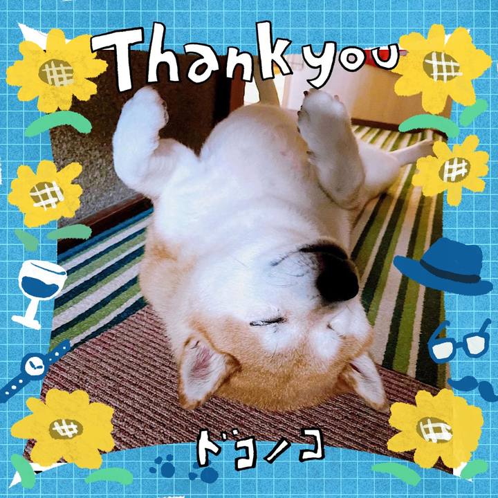 36c3e251 9f56 4517 a076 0baff4c57afb 1717676192922