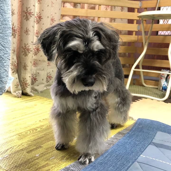 36c3ec54 c7fe 4d2e 8f72 ba89fc1886a1 1701503030886