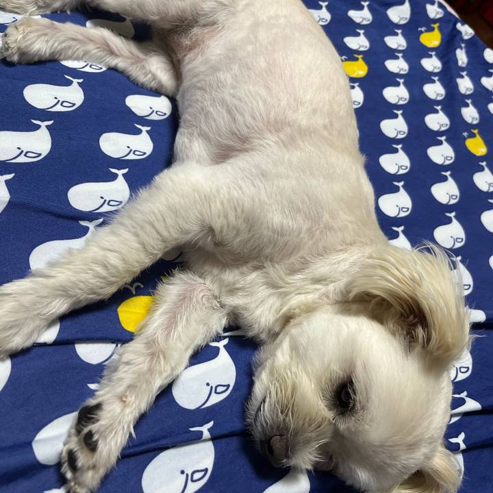 36c41d70 8391 4d12 8aae 0f6e2fcd002a 1658759214224