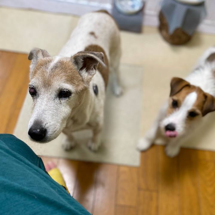 36c42e32 328c 45ff a47c 5d48bfb6c5a5 1667774898599