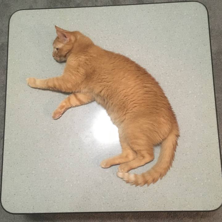 36c459bc 5d73 4119 a2a2 0fda1e745d5c 1662317561053