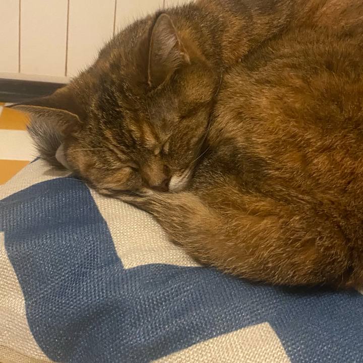 36c470da bfdf 4da1 b8b6 b18b307f6219 1714786838996