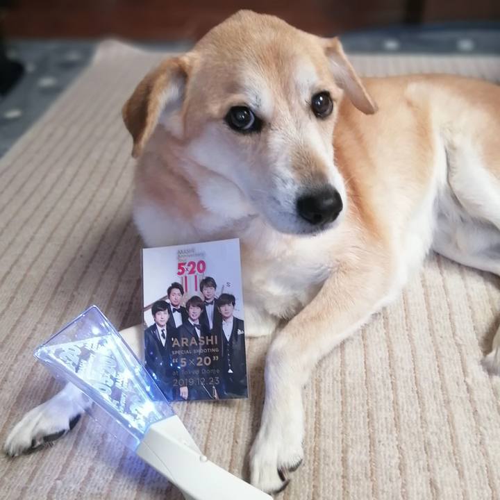 36c495af 6294 4973 9d43 8fa21a1de8b4 1577246241431