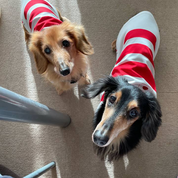 36c49cfd 07a9 4dfe 9ad1 379714bbeefd 1699793881495