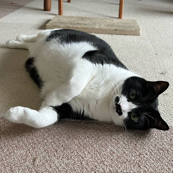 36c4adf8 e336 4bf5 a86c 65583e6ccad3 1776897349204