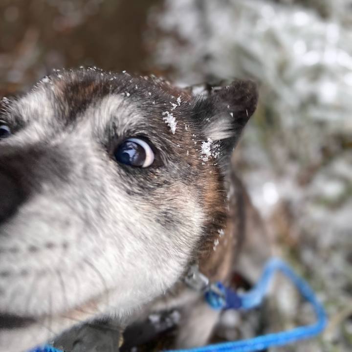 36c4cc74 71ba 4a65 a0ba b2280b6c30e8 1703204657301