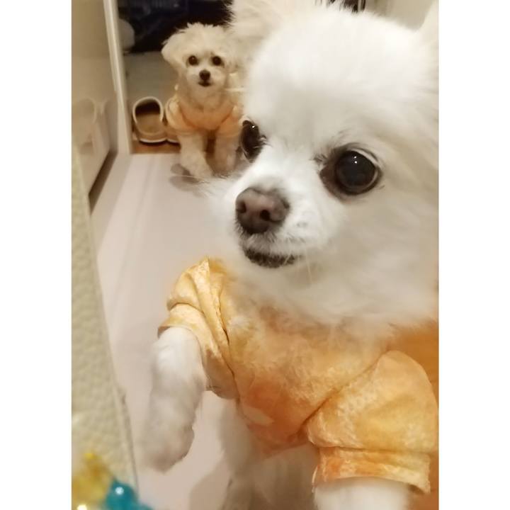 36c515a4 0bc4 4501 94ea 18466d54b302 1646517740320