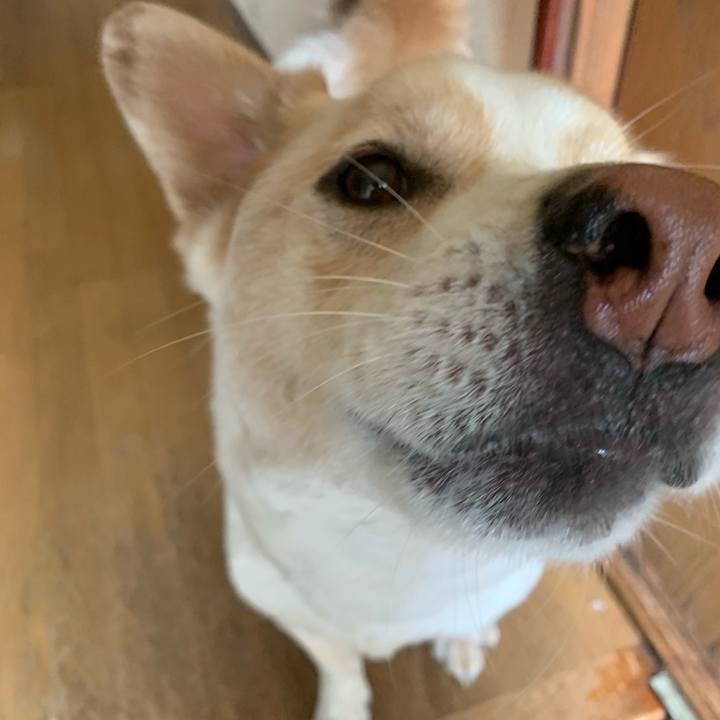 36c53488 e9ba 4440 a2f5 505f73911135 1561166230296