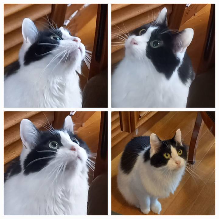 36c54aef 6a76 4ab0 a26f d46d708c008a 1671488514343