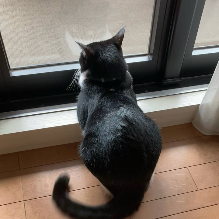 36c54e02 a74f 4766 8ca7 f23d75fe3800 1727608415362