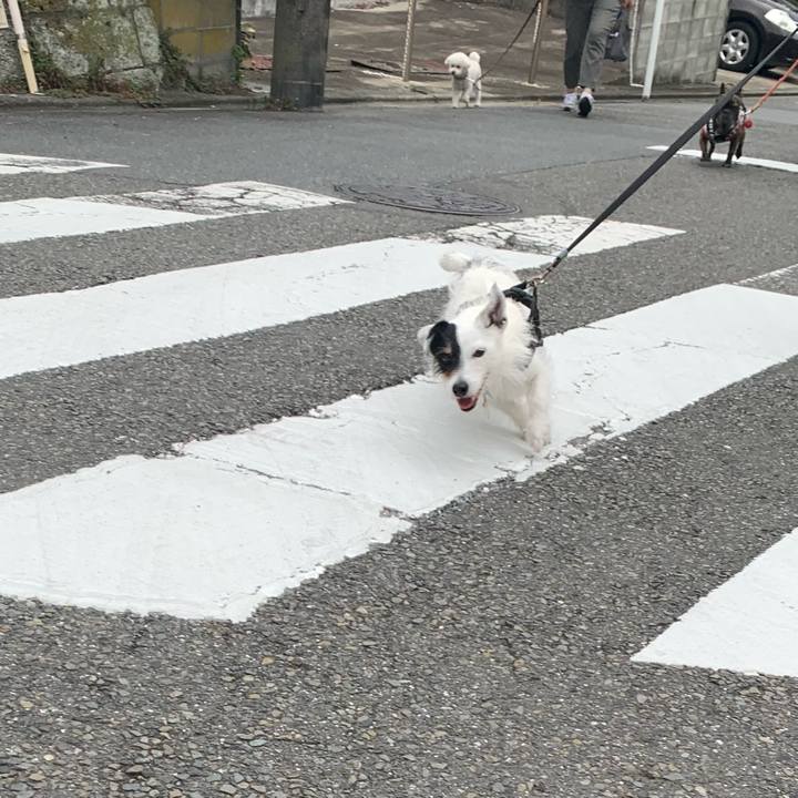 36c555f0 8b65 4453 a28c 51221de1f480 1718239506721