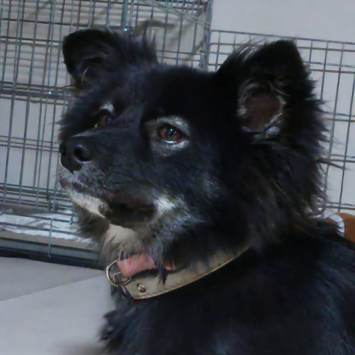 36c5582c a830 4d7e 8dca ecc2f8735341 1758630996255