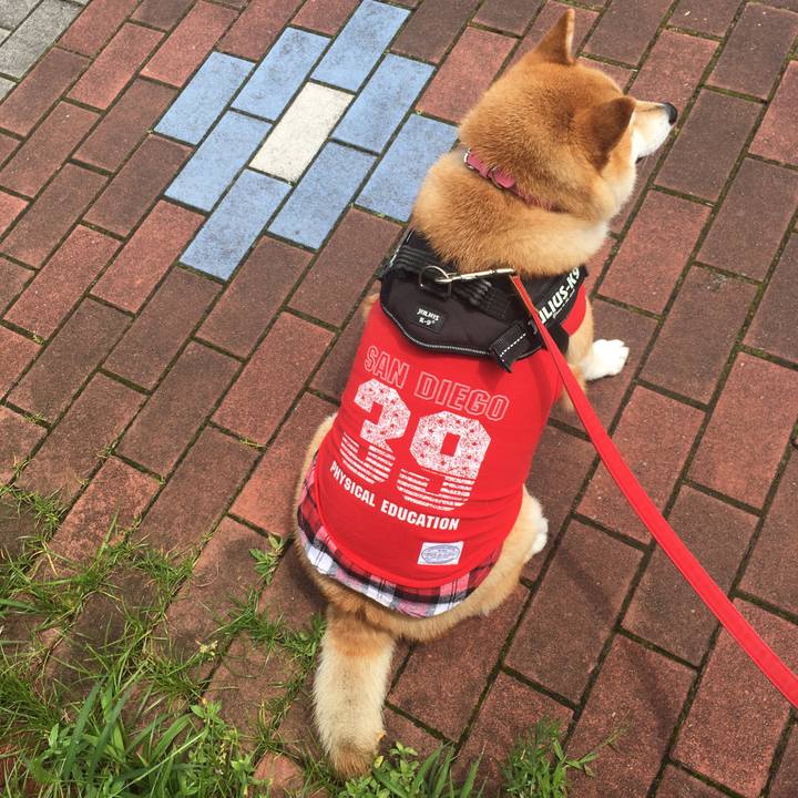 36c55c61 6a0f 4dd5 a783 597c4d7e13de 1594616410064