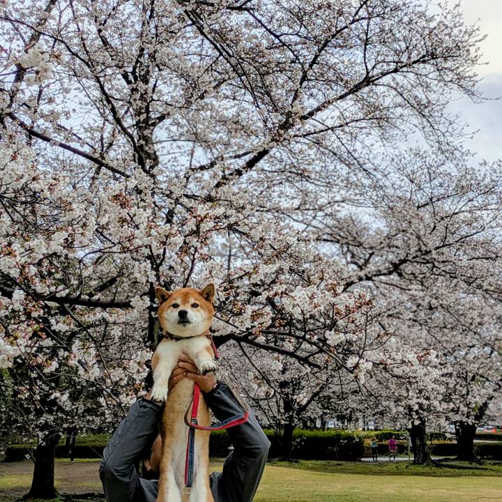 36c5731e 4b9e 48de 8985 485f1c16b73e 1743688469976