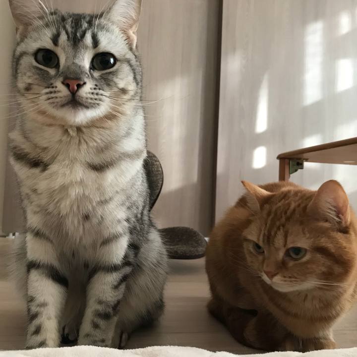 36c5832f 5933 4684 8785 8ef7109c842f 1523400285841