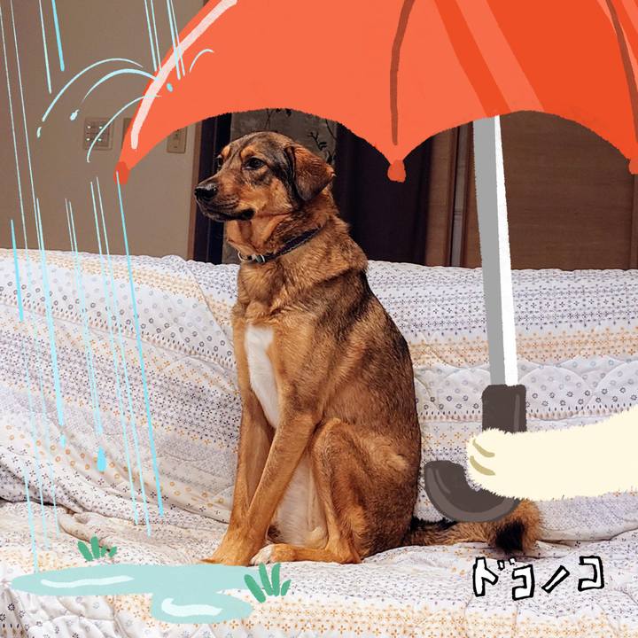 36c5d819 645e 4ed4 9ffe 079ae203e27d 1749615768976