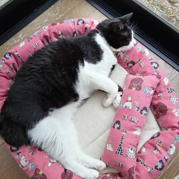 36c5e3e7 1602 49fe b80d 7928e9bd6b6e 1562038603253