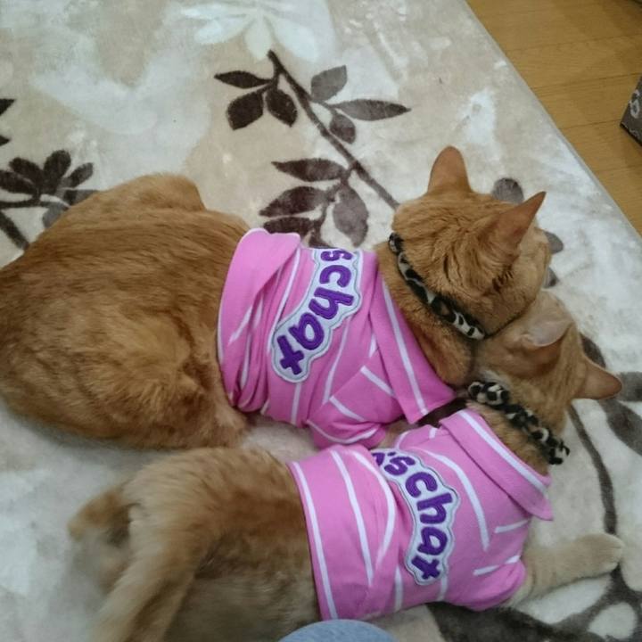 36c5fec3 ae20 452d 8435 2717301be669 1543198058023