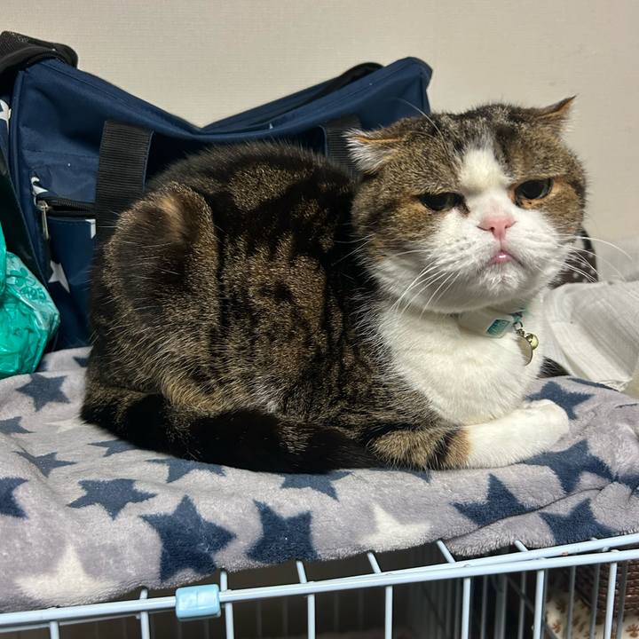 36c603bc e046 4a84 b8fb f99a3f29c641 1770670567501