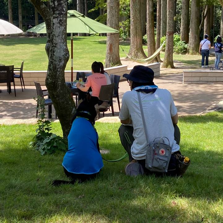 36c61f1a 4ed2 41e3 a522 1a6e48f431e8 1597466479524