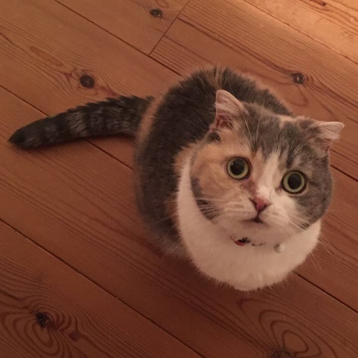 36c64aad 8075 44db bb5a 9973494cfce4 1591265229495