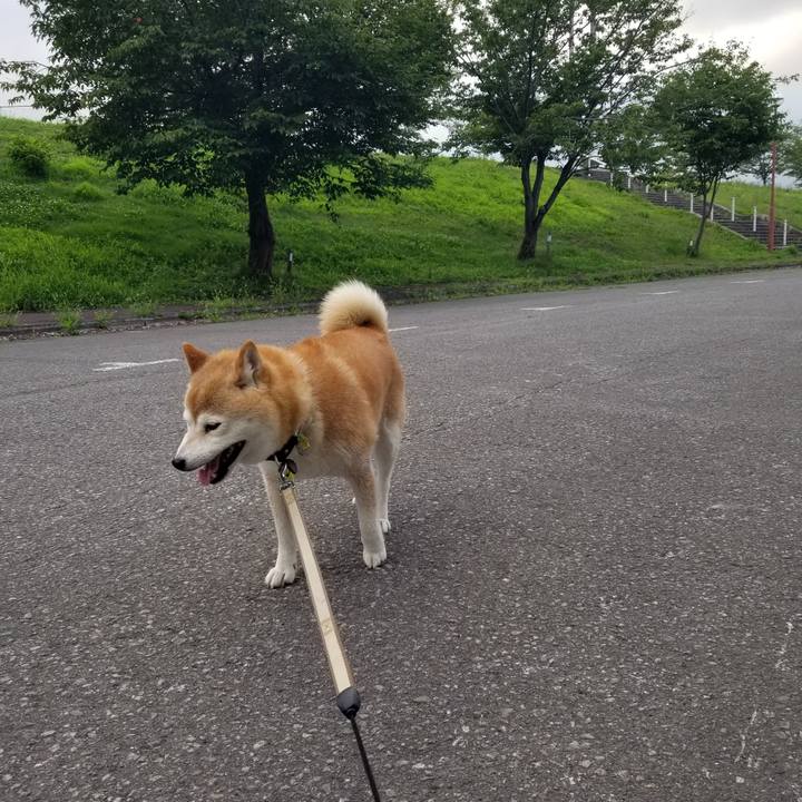 36c65053 6d2e 4fca 9cdb 9053c25801de 1658306849197