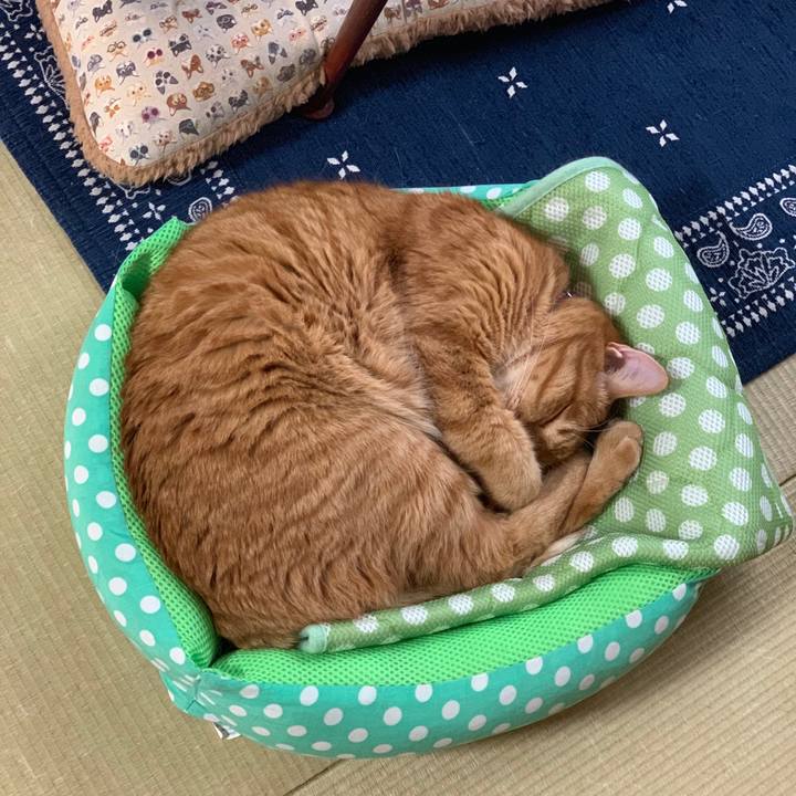 36c654d5 a607 4c0f 9d99 9904bbfbde8e 1560758446838